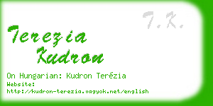 terezia kudron business card